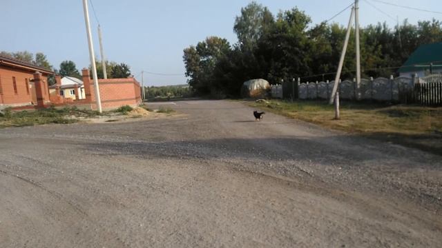 StaSer 1M 26c В селе Ничаевка