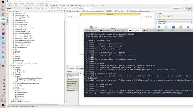 Demo of Apache Ignite Plug - in for Tibco BW 6.5 смотреть онлайн