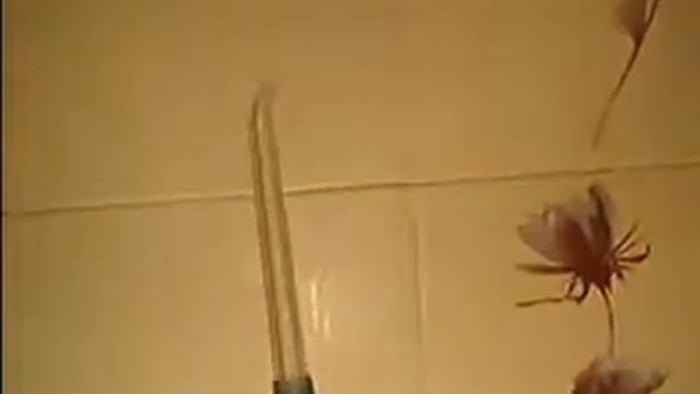 Oral Irrigator Cordless Azdent