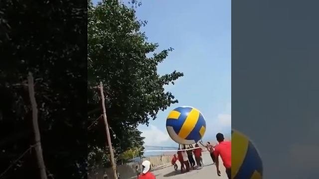 Волейбол