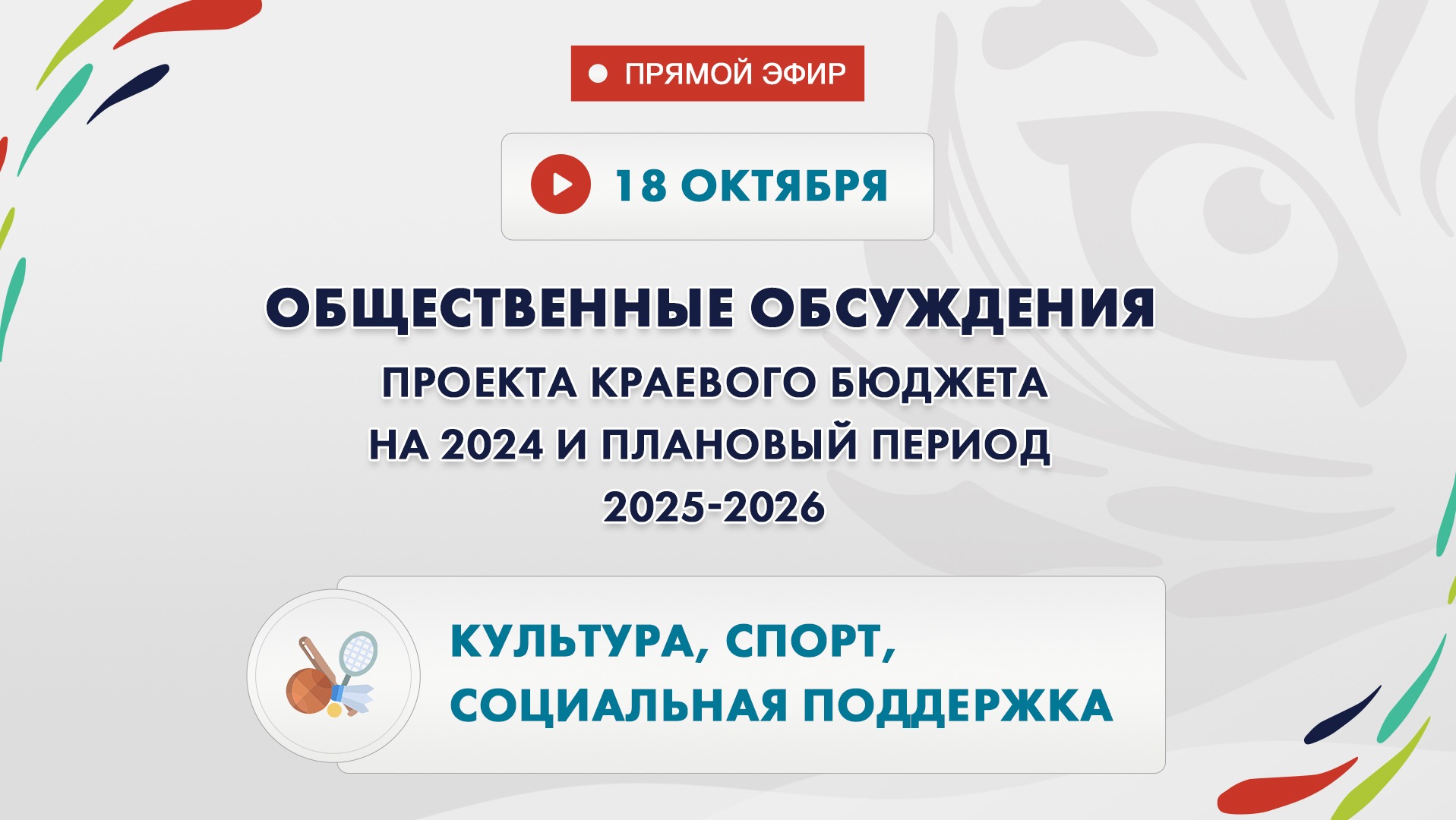 Общественные слушания бюджета: культура, спорт и социальная поддержка