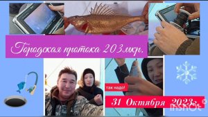 Рыбалка. У меня гости! 30 Октября 2023г.
