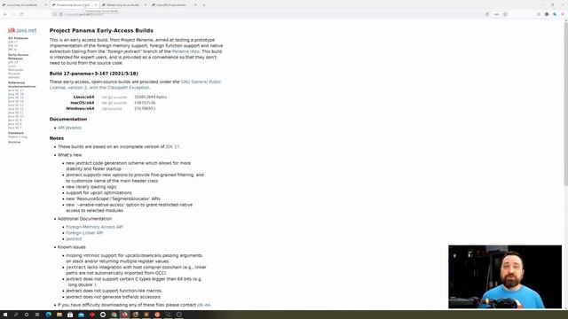 What's after Java 17? (Future of Java: Amber, Loom, Panama and Valhalla) смотреть онлайн