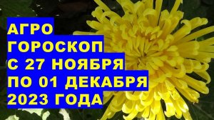 Агрогороскоп с 27 ноября по 01 декабря 2023 года.Agrohoroscope from November 27 to December 1, 2023