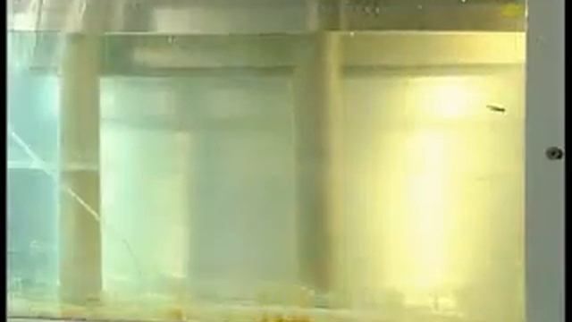 Производство итальянских литых дисков MAK и фазы производства смотреть онлайн