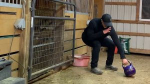 146 - Kettlebell Start _ Stop clean - start stop series to improve movement dynamics