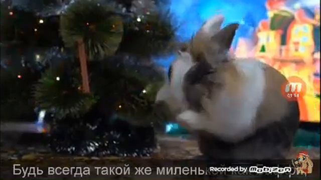 Песня анука давайка ( В ЭТОТ НОВЫЙ ГОД)