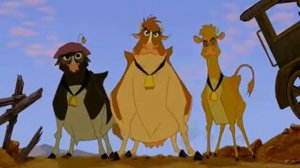 Не бей копытом