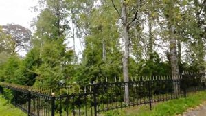 Село Грузино в сентябре 2021 * Новгородская область * Онлайн