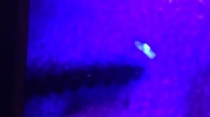 Jcb 3cx 2001 года.  Клапан черепаха . Место его расположения и внешний вид