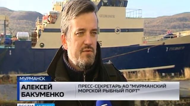 Ударные показатели. Холодильные мощности Мурманского морского рыбного порта заполнены креветкой смотреть онлайн