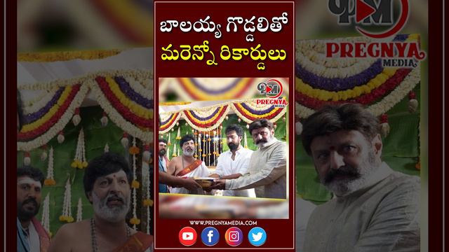 Balakrishna Upcoming Movie With Bobby Kolli | NBK 109 Movie Updates | Pregnya Media