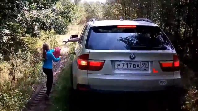 ГРИБ БАРАН И СЫРОЕЖКИ - МУТАНТЫ!!! смотреть онлайн