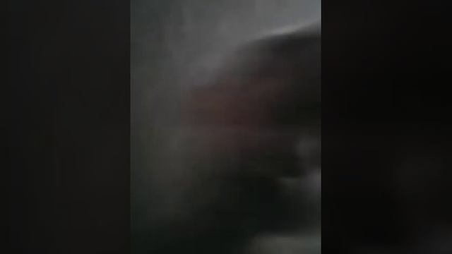 Ваня Прибытково туй