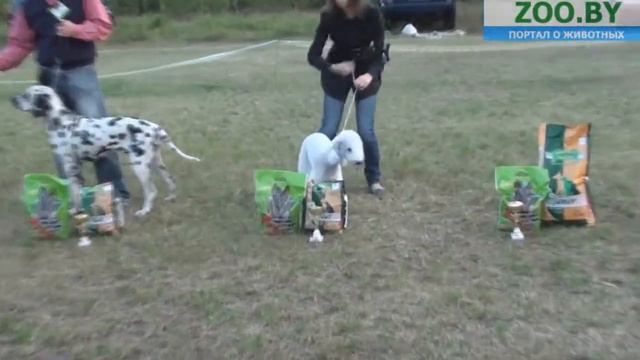 Лучший юниор смотреть онлайн