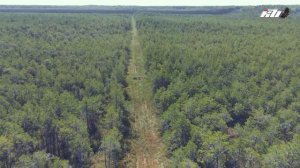 #тавда Памятник природы Болото Сорочье