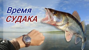 Осень - Время судака
Рыбалка в Саратове