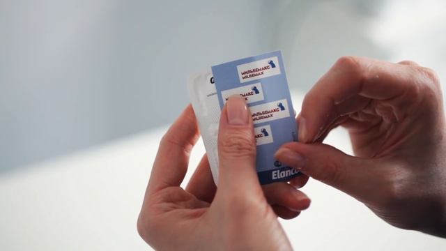 КАК ПРАВИЛЬНО ДАТЬ СОБАКЕ ТАБЛЕТКУ? САМЫЙ ЛЕГКИЙ СПОСОБ! смотреть онлайн