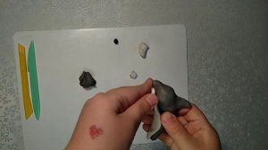 Лепим дельфина афалину из пластилина