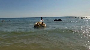 Пляж Жемчужина России забит под завязку, а море - блаженство!