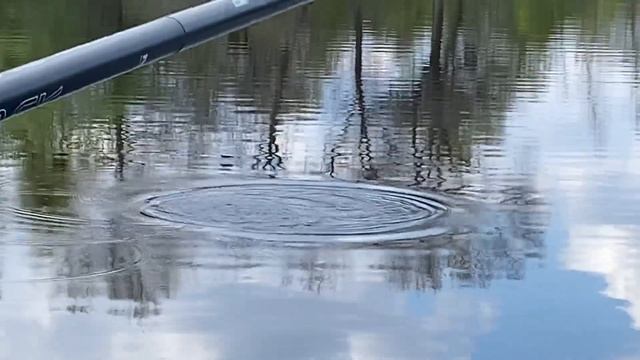 Прикормка или перловка? смотреть онлайн