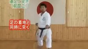 Oi Tsuki JKA Shotokan Karate
