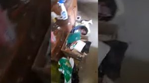 Тараканы захватили квартиру