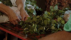 Как правильно заготовить веники для бани / русская баня