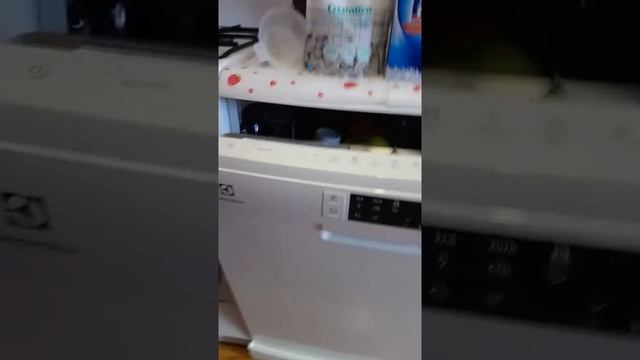Подробный обзор на посудомоечную машину Electrolux ESF 9552 LOW смотреть онлайн