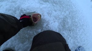 Первая Рыбалка после КОВИД - 19. Жерлицы, чёртик, гвоздекубик