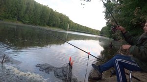 канальный сомик на Десногорском водохранилище..ВТОРАЯ ЧАСТЬ