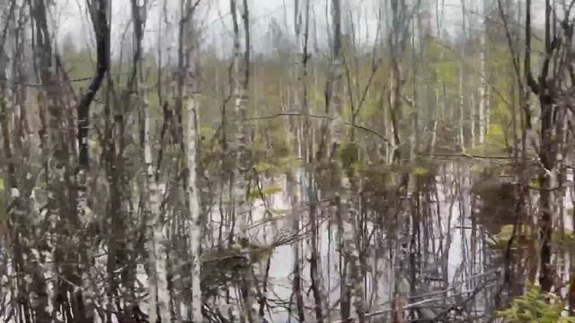 Вывозим ЗАГОТОВЛЕННЫЙ МЕТАЛЛ из ТАЙГИ в плохую погоду! Коп 2023 металокоп