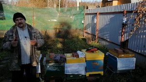 ❄ Экстремальная подкормка пчёл от неминуемой голодной смерти ❄