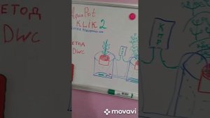 Как работает AquaPot Klik 2 гидропонные системы DWC после обновлений