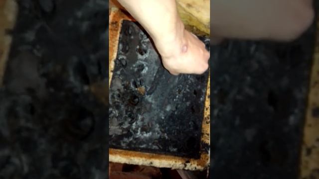 Чистка котла Данко часть 1 смотреть онлайн