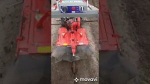 Обработка междурядий картофеля мотоблоком с активной фрезой