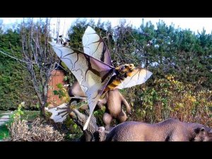 махалета Дракон