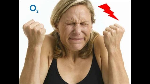 Принцип печки. Стрессы провоцируют переедание смотреть онлайн