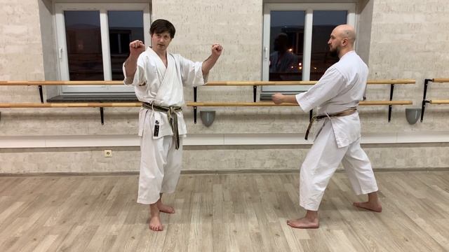 Bassai Dai kata effective bunkai full kata