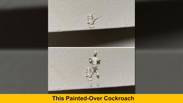 Times Winners Of The Greatest Photoshop Battles Made The Internet A Funnier Place смотреть онлайн