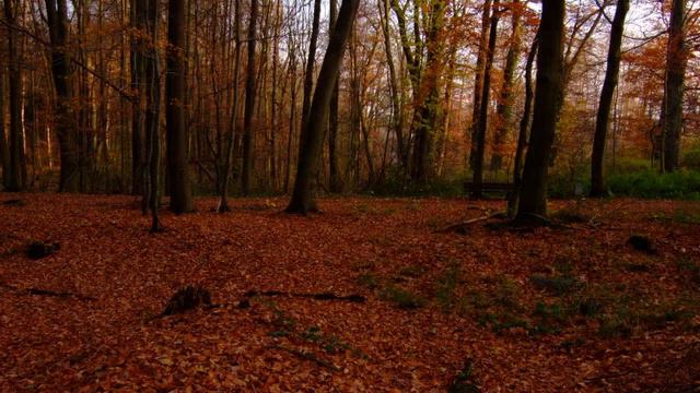 Edvard Grieg, Violinsonate Nr.2 G-Dur 3.Satz смотреть онлайн