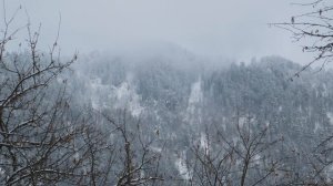 Озеро Телецкое зимой