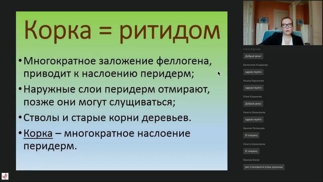 Лекция «Разнообразие растительных тканей»