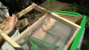 пробую ДОННЫЕ ПЫЛЬЦЕСБОРНИКИ у себя на пасеке.