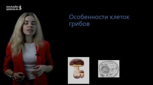 Урок 12. Сходство и различия в строении клеток растений, животных и грибов. Биология 10 класс