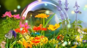 Лето, на улице лето☉