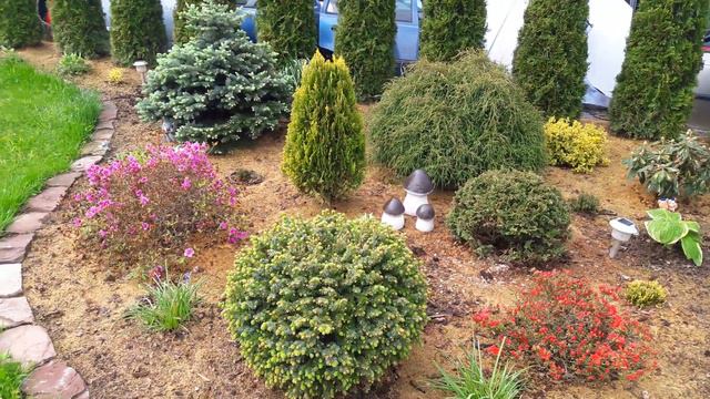 ЯК ВИГЛЯДАЄ САД У ТРАВНІ смотреть онлайн