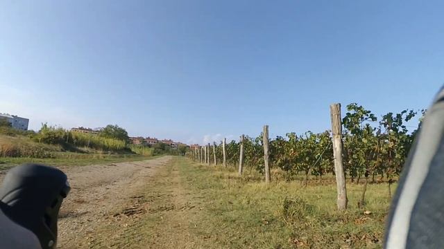 Граница Словения-Италия 2021 смотреть онлайн