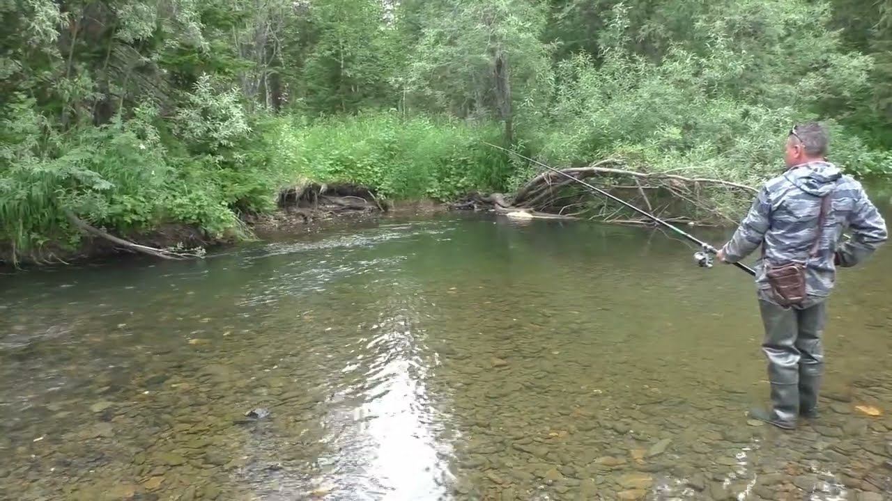 175 Серия Поймал Рыбу Хариус Обманка с подсадкой Опарыша Удочка Поплавок Тайга Рыбное место Ива
