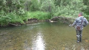 175 Серия Поймал Рыбу Хариус Обманка с подсадкой Опарыша Удочка Поплавок Тайга Рыбное место Ива